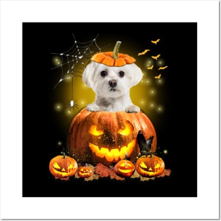 White Maltese Spooky Halloween Pumpkin Dog Head Posters and Art